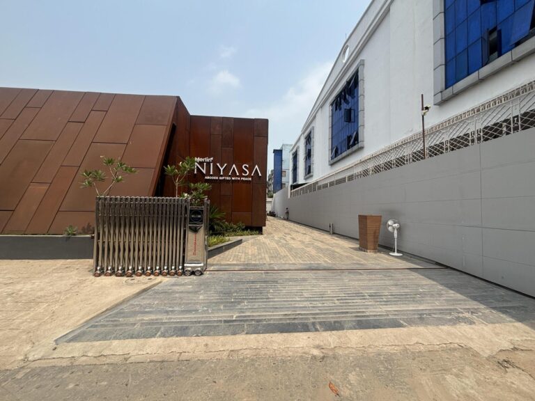 Merlin Niyasa Gallery